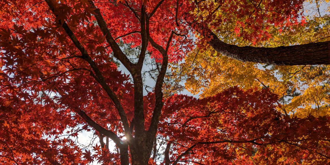 Tag 40 – auf nach Fujiyoshida